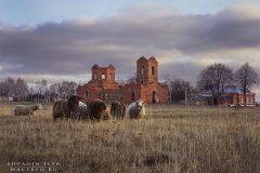Барашки