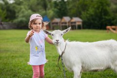 IMG_3822